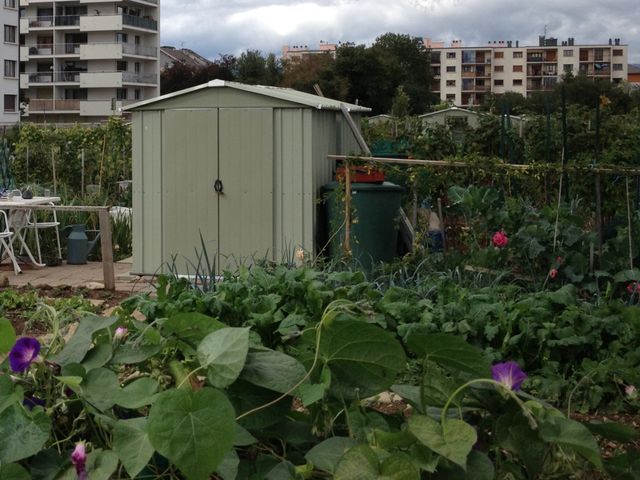 cabane en metal dans un jardin fleuri