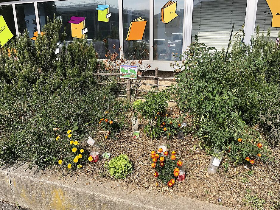 potager devant la bibliothèque