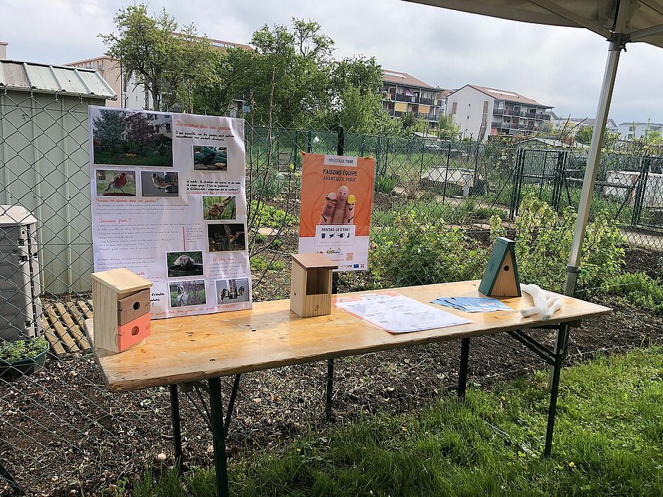 exposition de sensibilisations aux oiseaux de nos jardins